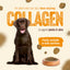 Natural Farm Fresh from the Farm - Chicken Recipe, Dry Dog Food