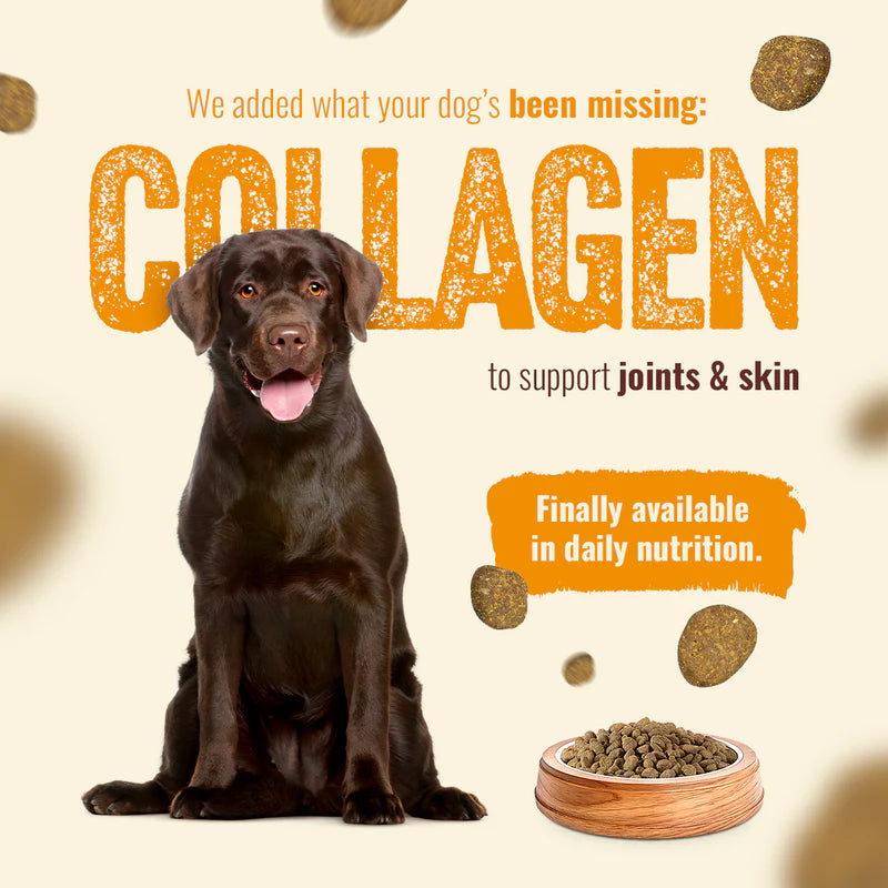 Natural Farm Fresh from the Farm - Chicken Recipe, Dry Dog Food