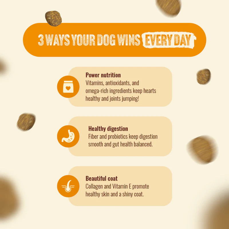 Natural Farm Fresh from the Farm - Chicken Recipe, Dry Dog Food