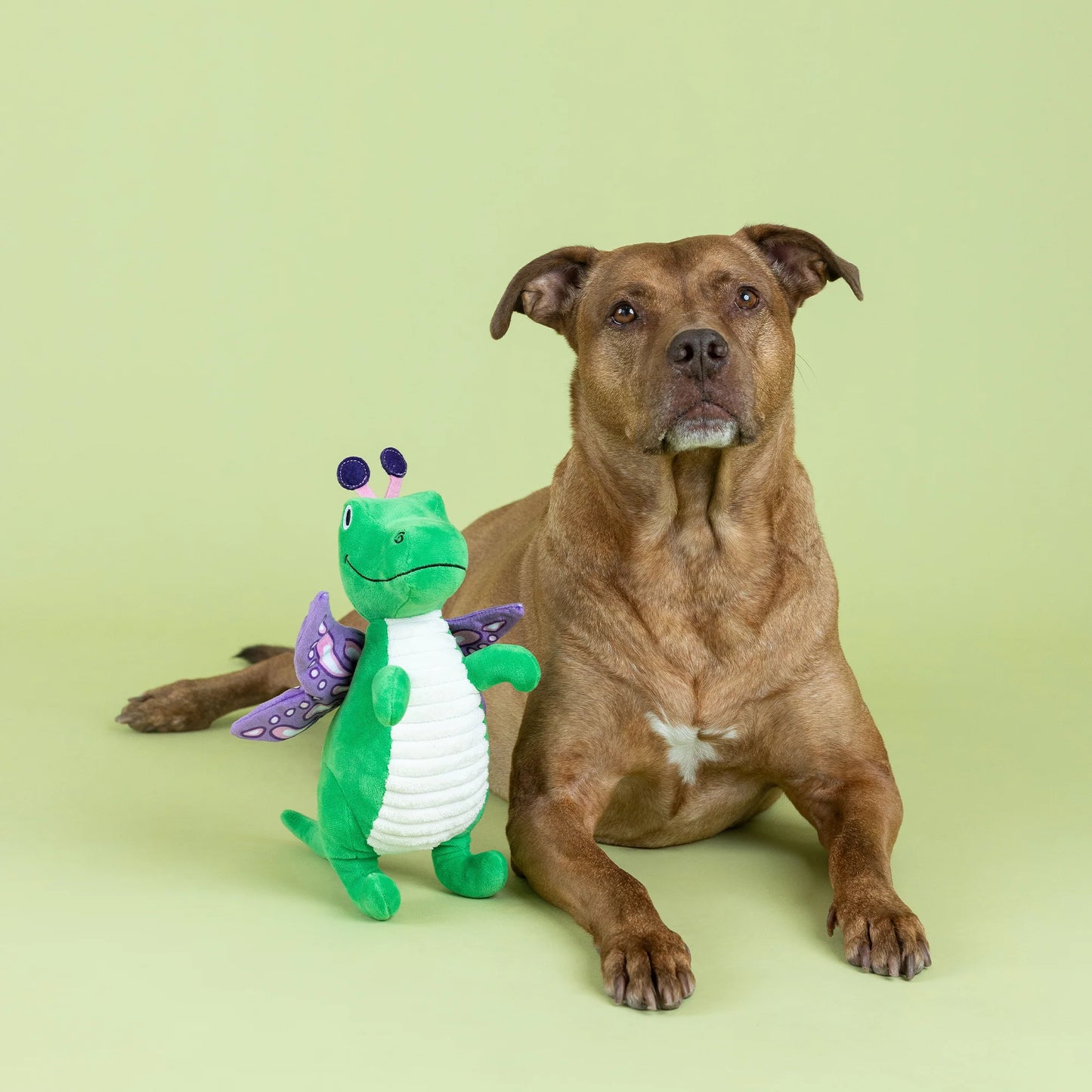 PetShop Flutter Rex, Plush Dog Toy