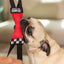 Katie's Bumpers Mini Double Tug Best Dog Tug Toy