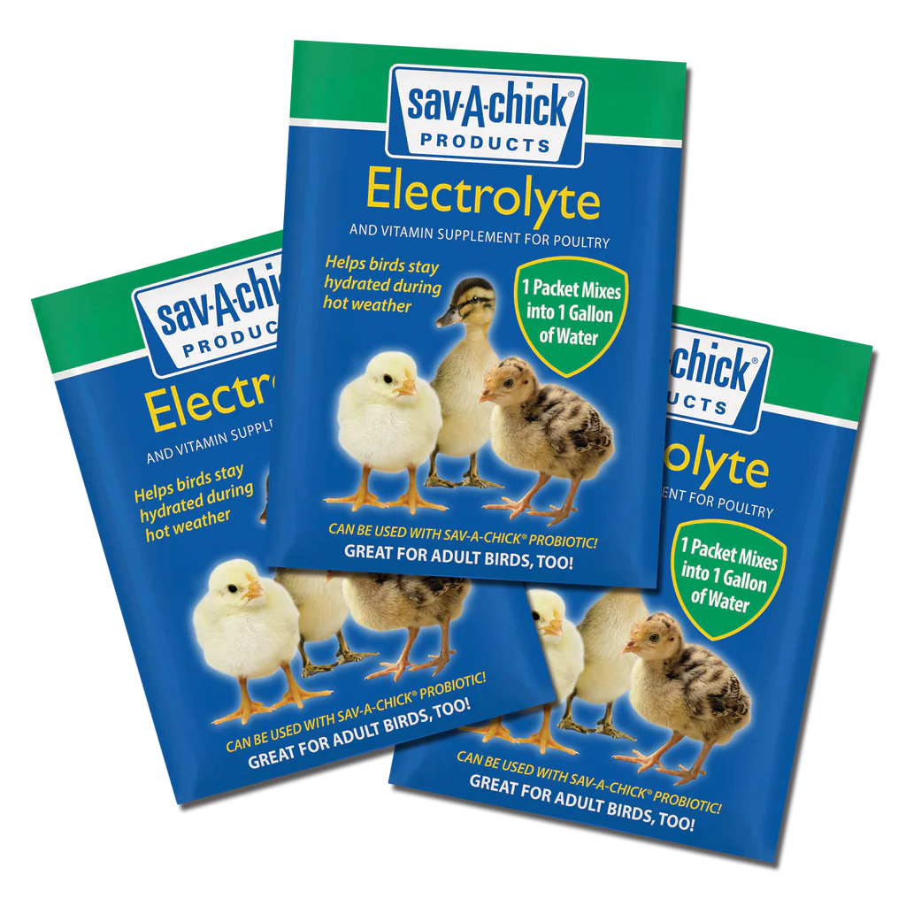 Sav-A-Chick Electrolyte & Vitamins, 3-Pack, Poultry Supplment