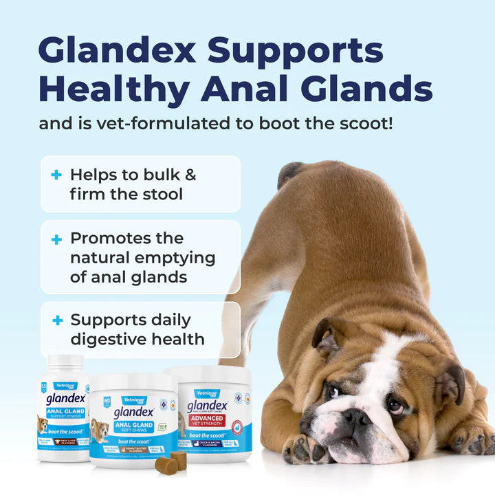 Glandex® Dog Anal Gland Supplement With Pumpkin