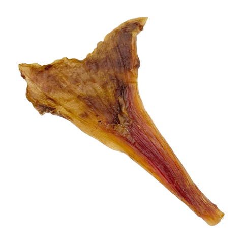 Tuesday's Natural Dog Company, Ostrich Long Tendons, Dog Treat, 4-oz Bag