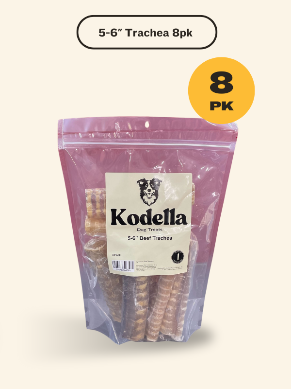 Kodella Beef Trachea, Dog Chew