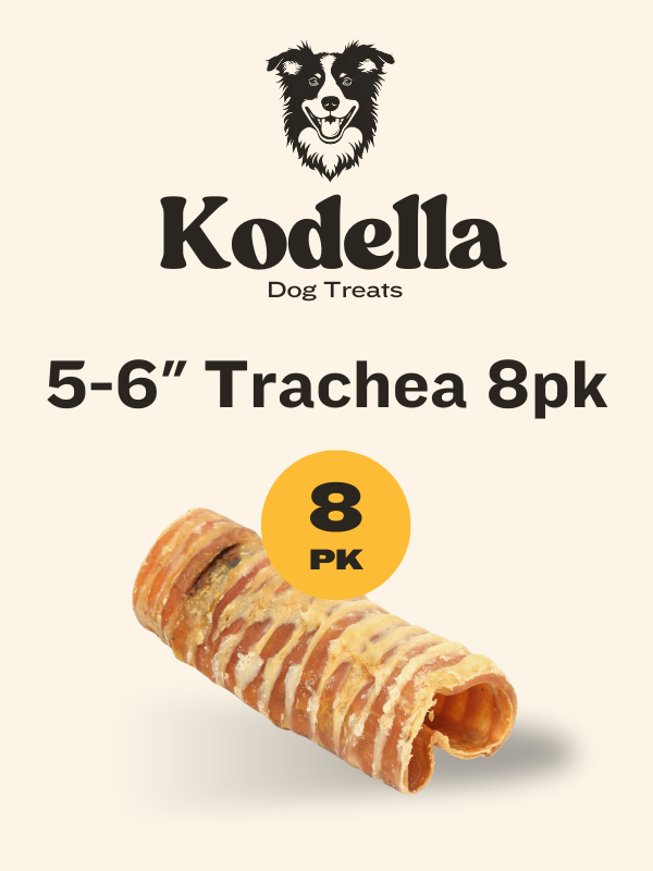 Kodella Beef Trachea, Dog Chew