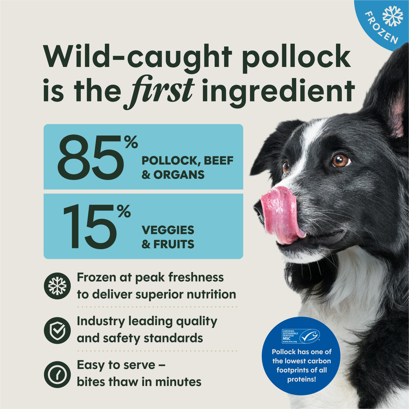 Instinct FreshRaw Bites Wild-Caught Pollock Recipe Dog Food, Frozen Raw Dog Food, Bag