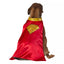 Rubie's Superman Movie: Krypto Cape with Attached Collar, Pet Costume