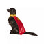 Rubie's Superman Movie: Krypto Cape with Attached Collar, Pet Costume