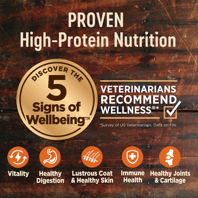 Wellness senior outlet dog food