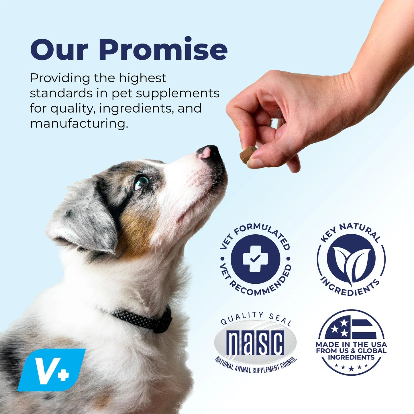 A promotional image for pet supplements featuring a hand holding a small treat above a sitting Australian Shepherd puppy looking up. Text reads, "Our Promise – Providing the highest standards in pet supplements for quality, ingredients, and manufacturing." Four icons are shown: "Vet Formulated • Vet Recommended," "Key Natural Ingredients," "Quality Seal NASC – National Animal Supplement Council," and "Made in the USA from US & Global Ingredients." A blue "V+" logo is in the bottom left corner.