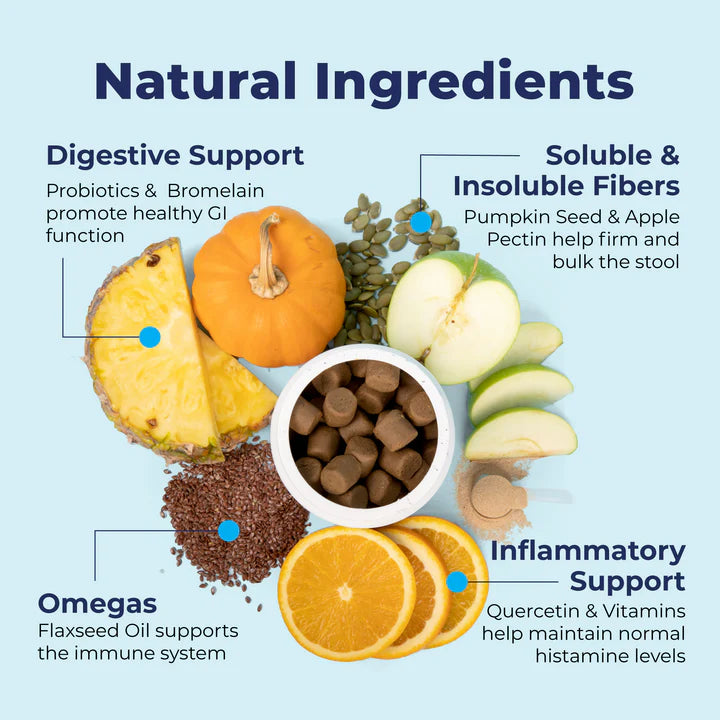 Glandex® Dog Anal Gland Supplement With Pumpkin