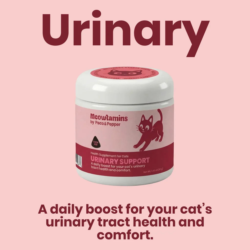 Paco & Pepper Meowtamins Urinary Formula, 60-count
