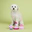 PetShop Can I Get A Woof, 3-Piece Dog Toy