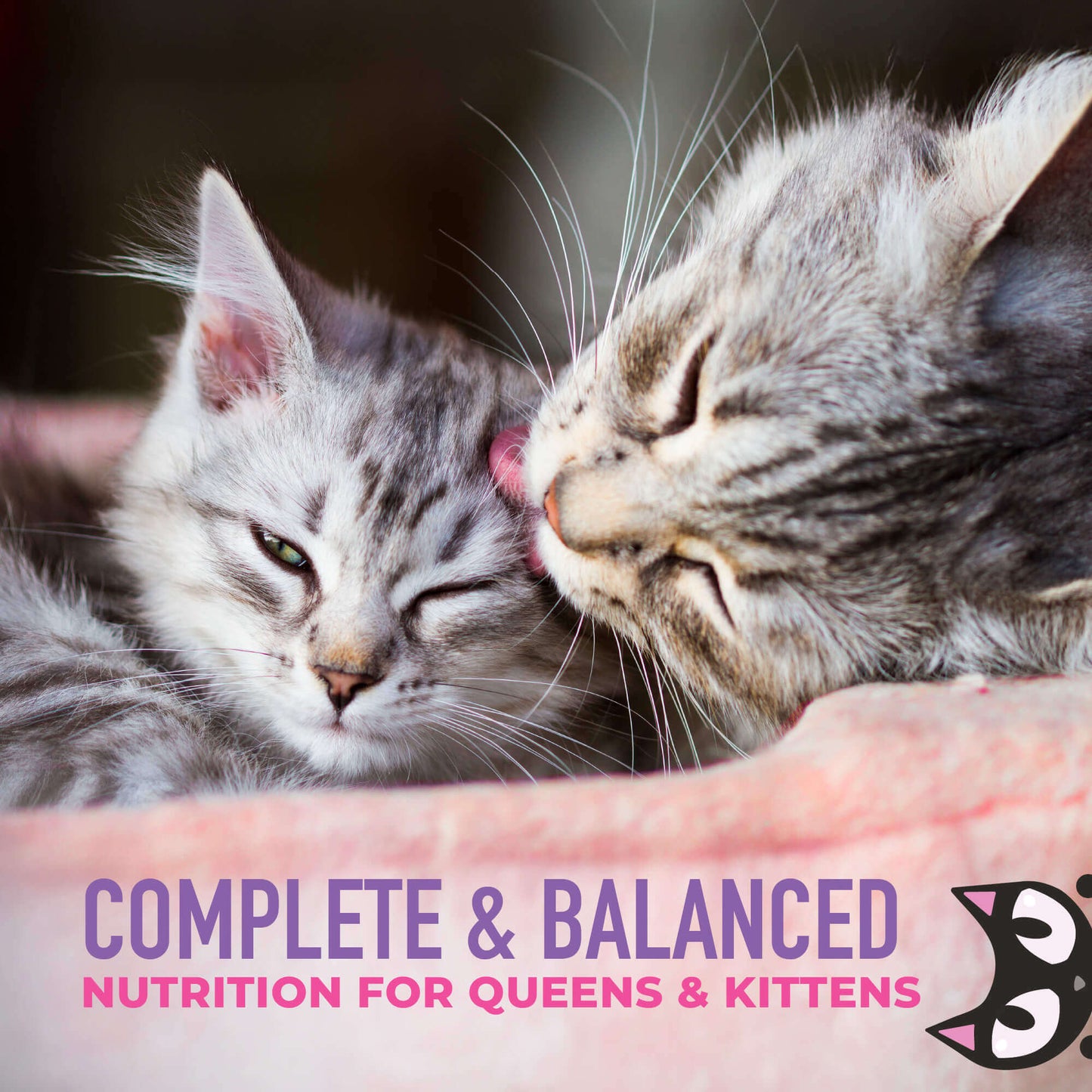 Tiki Cat® Baby Weaning Purée: Chicken & Chicken Liver Recipe in Broth, 6-oz Pouch