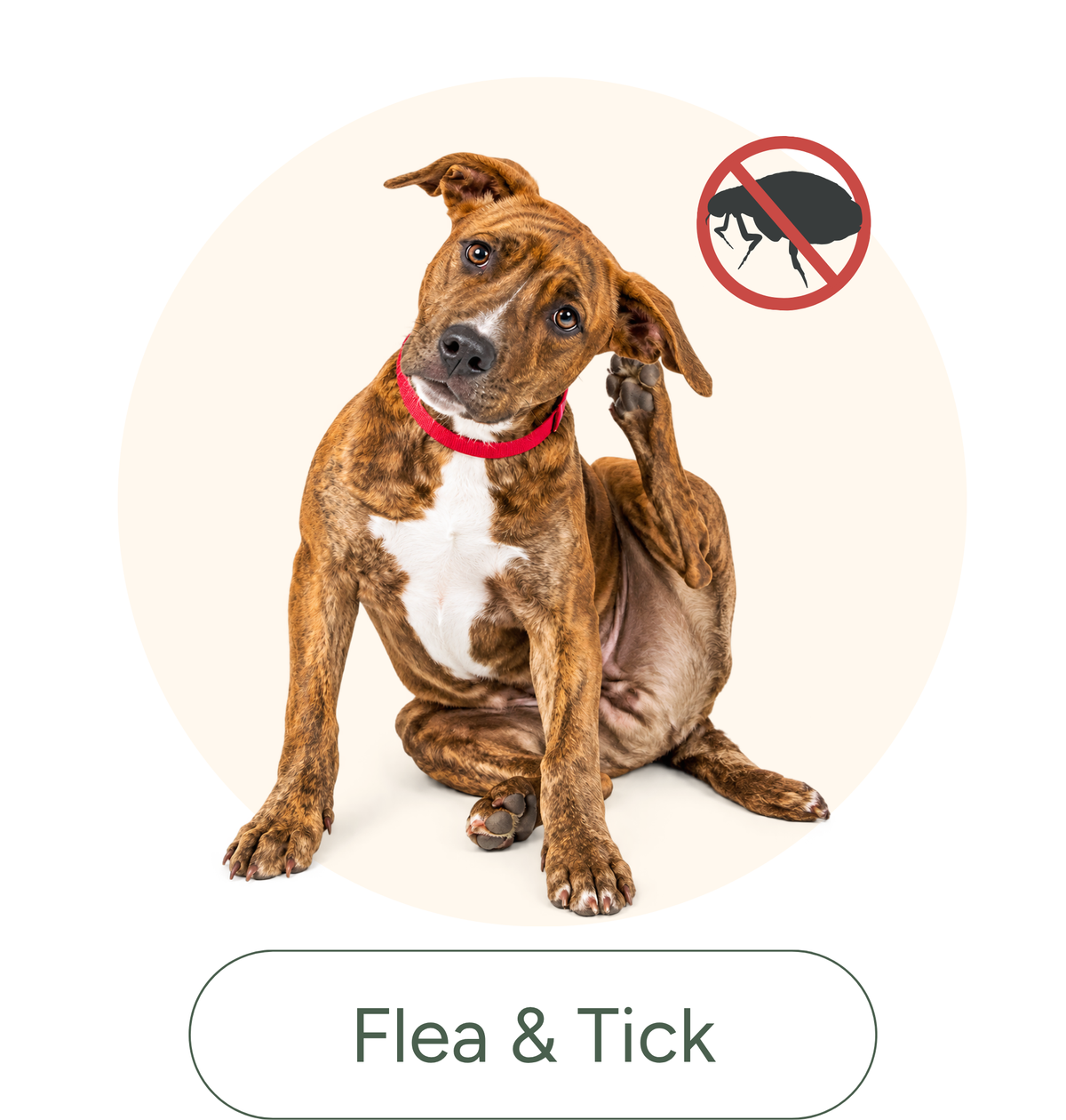 Anaheim Feed & Pet Supply