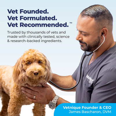 Glandex® Dog Anal Gland Supplement With Pumpkin