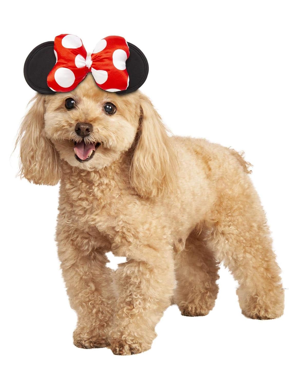 Rubie's Disney Minnie Mouse Headpiece, Pet Costume