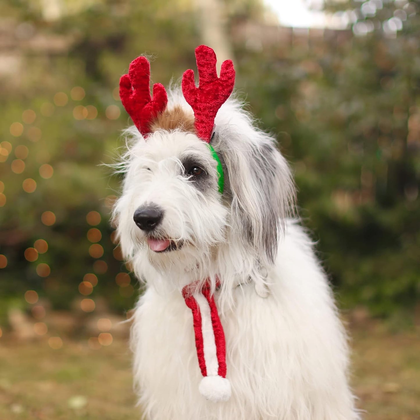 Zippy Paws Holiday Antlers, Dog Accessory