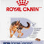 Royal Canin Large Breed Adult Dry Dog Food, 40-lb Bag