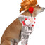 Rubie's Pennywise Walking, Pet Costume