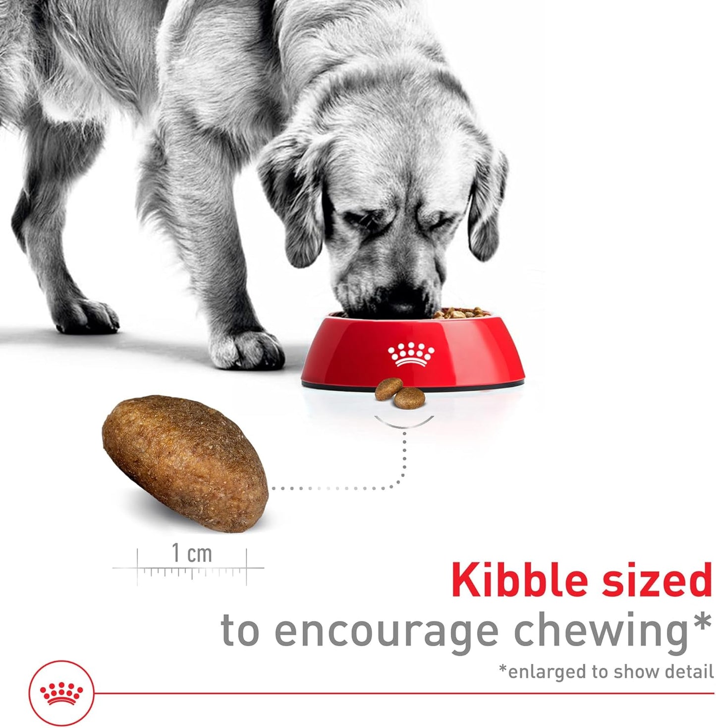 Royal Canin Large Breed Adult Dry Dog Food, 40-lb Bag