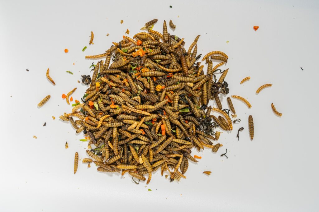 Luckyqworms Bug' N' Veggie Buffet, Poultry Treat, 1-lb Bag