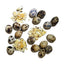Savage Cat Freeze-Dried Quail Eggs 2.75-oz, Dog & Cat Treat