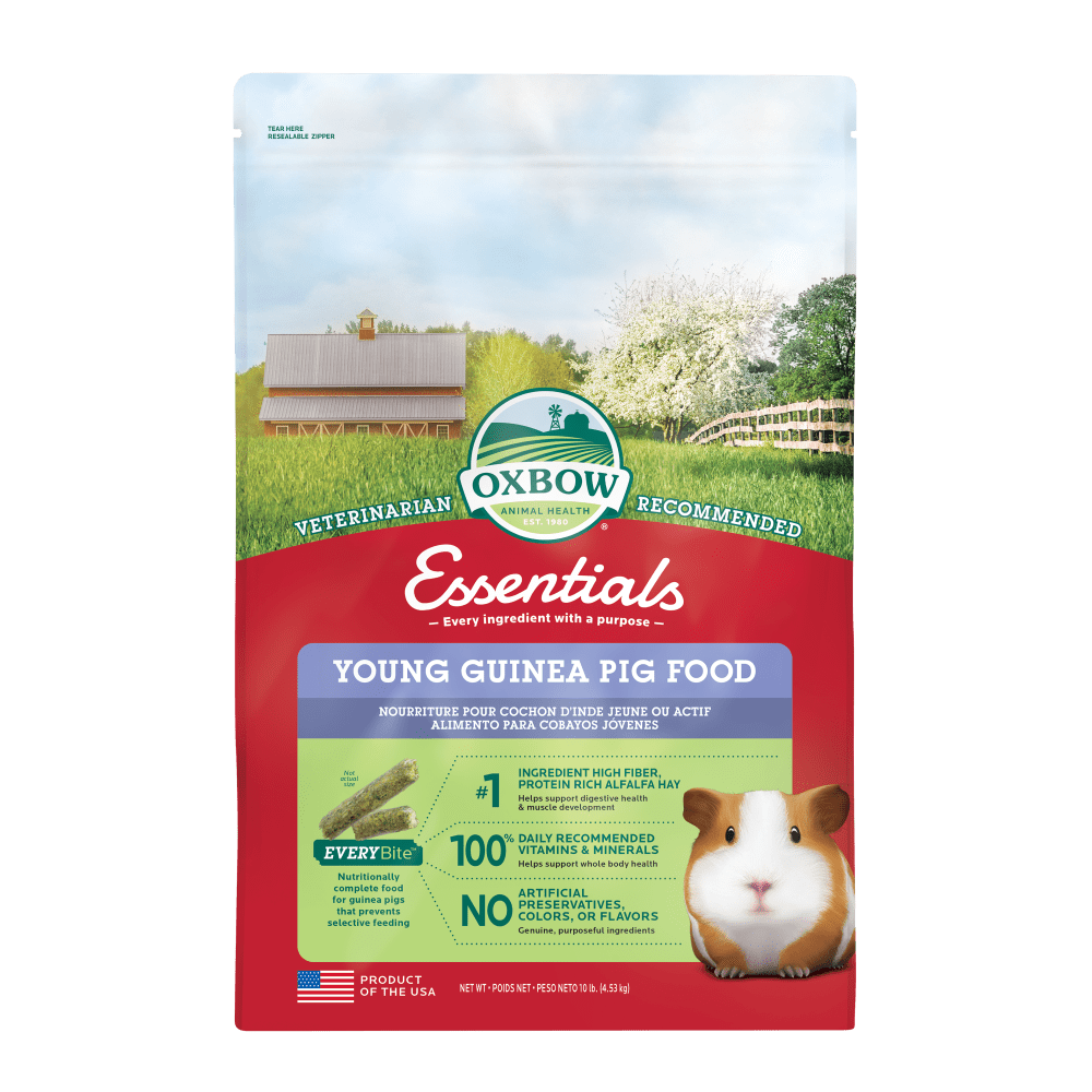 Oxbow Essentials Young Guinea Pig Food, 10-lb