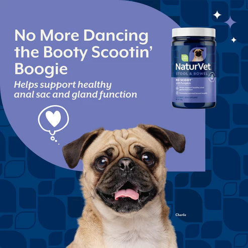 NaturVet No Scoot® Powder 5.4-oz, Dog Supplement