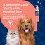 NaturVet Salmon Oil, Pet Supplement