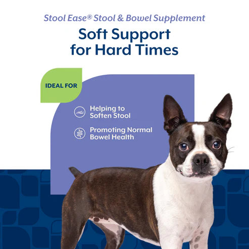 NaturVet Stool Ease® Soft Chews 40-Count, Dog Supplement