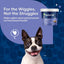 NaturVet Stool Ease® Soft Chews 40-Count, Dog Supplement