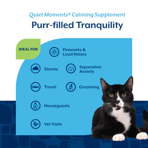 NaturVet Quiet Moments® Soft Chews 60-Count, Cat Supplement