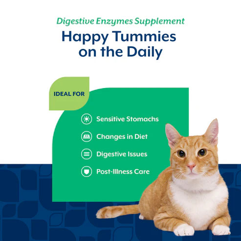 NaturVet Digestive Enzymes Soft Chews for Cats, 60-Count, Cat Supplement