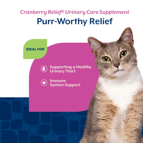 NaturVet Cranberry Relief® Soft Chews Cat Supplement, 60-Count