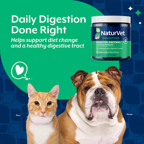 NaturVet Digestive Enzymes Powder for Dogs and Cats