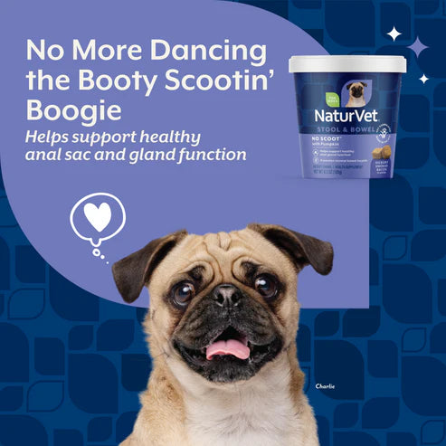 NaturVet No Scoot® Soft Chew, Dog Supplement, 60-Count