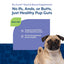 NaturVet No Scoot® Soft Chew, Dog Supplement, 60-Count