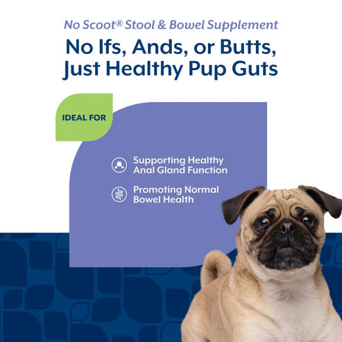 NaturVet No Scoot® Soft Chew, Dog Supplement, 60-Count