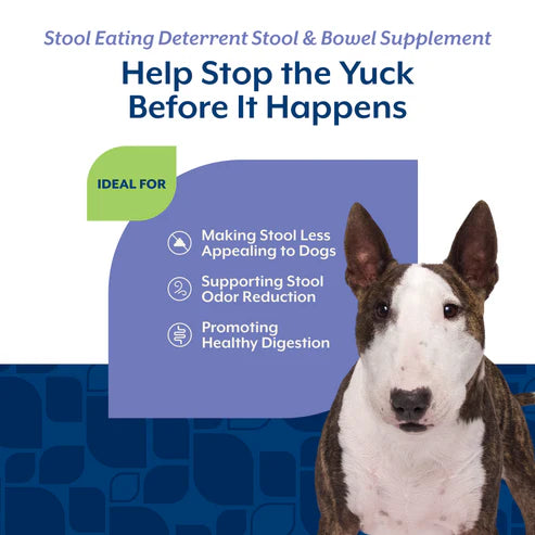 Stool Eating Deterrent Soft Chews (formerly Coprophagia), Dog Supplement