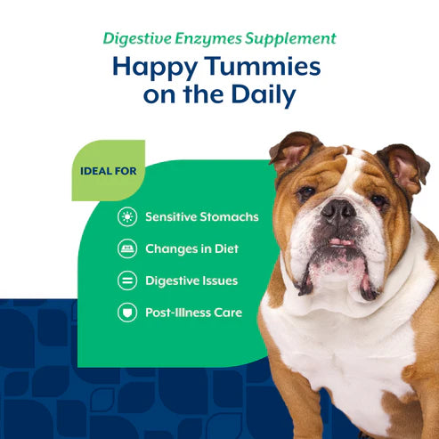 NaturVet Digestive Enzymes Soft Chew with Prebiotics & Probiotics Dog Supplement