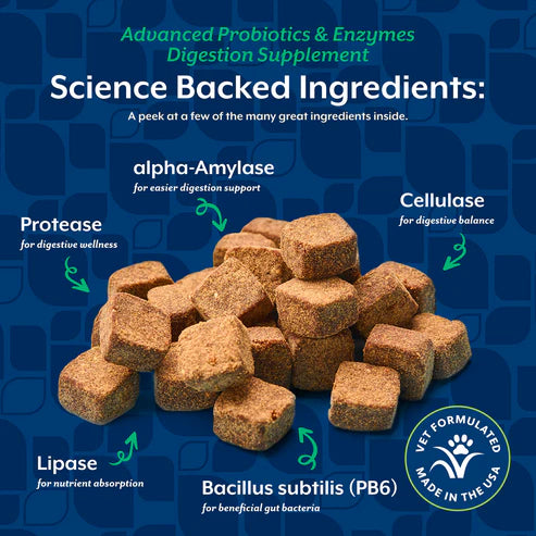 NaturVet Advanced Probiotics & Enzymes Soft Chews, Dog Supplement