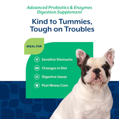 NaturVet Advanced Probiotics & Enzymes Soft Chews, Dog Supplement