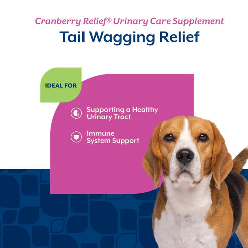Naturvet Cranberry Relief® Soft Chew, For Dogs, 60-count
