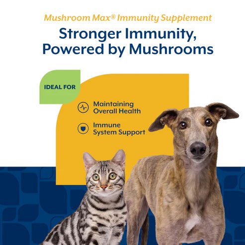 Naturvet Mushroom Max Soft Chew For Dogs And Cats, 60-Count