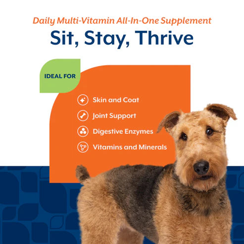 NaturVet Daily Multi-Vitamin Soft Chews Dog Supplement