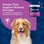 Daily Bone Support Powder (formerly Calcium-Phosphorus), 1-lb Jar, Dog Supplement