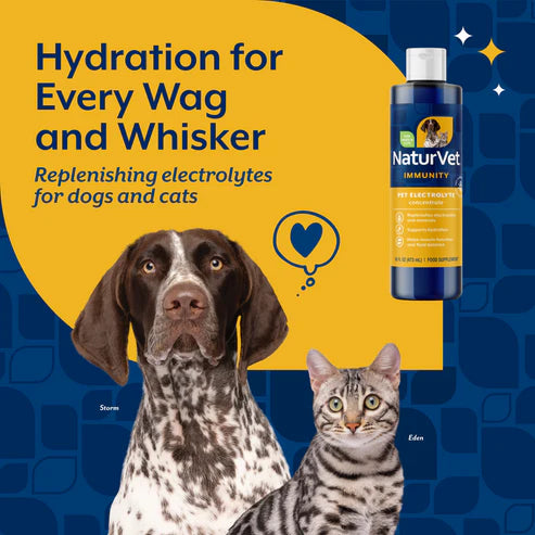 Naturvet Pet Electrolyte Concentrate, 16-oz Bottle