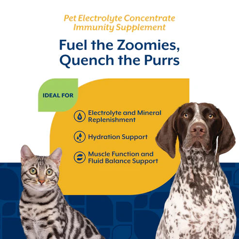 Naturvet Pet Electrolyte Concentrate, 16-oz Bottle